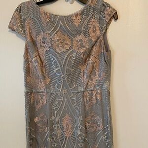 Adrianna Papell Silver and Blush Lace-Overlay Maxi Dress